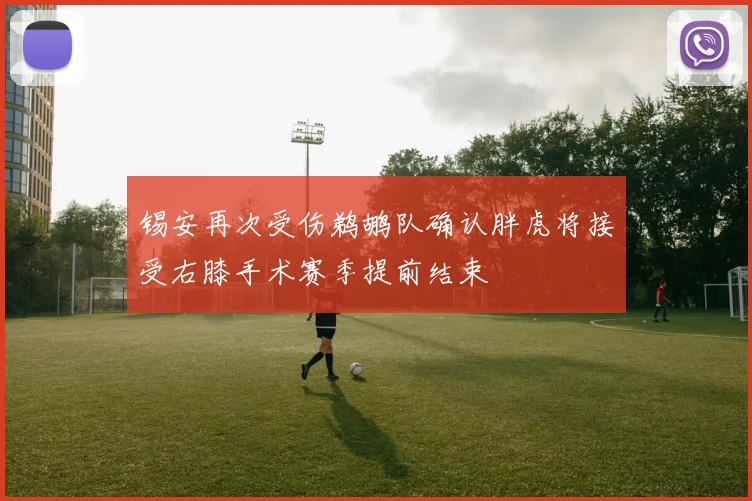 锡安再次受伤鹈鹕队确认胖虎将接受右膝手术赛季提前结束