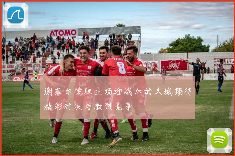 谢菲尔德联主场迎战加的夫城期待精彩对决与激烈竞争