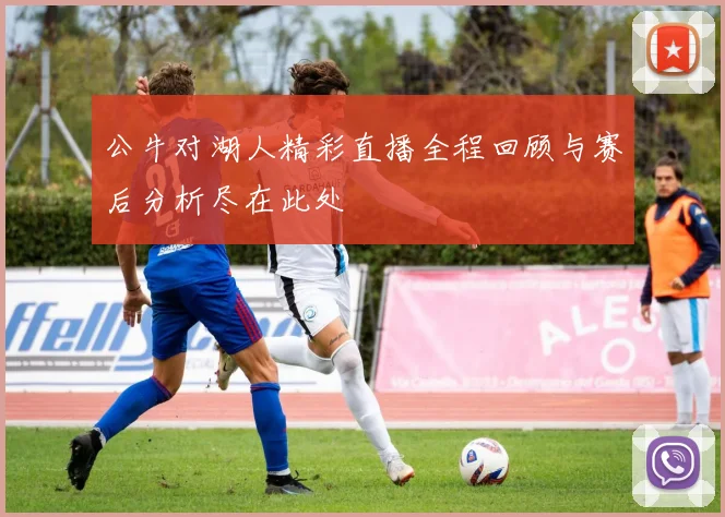 公牛对湖人精彩直播全程回顾与赛后分析尽在此处