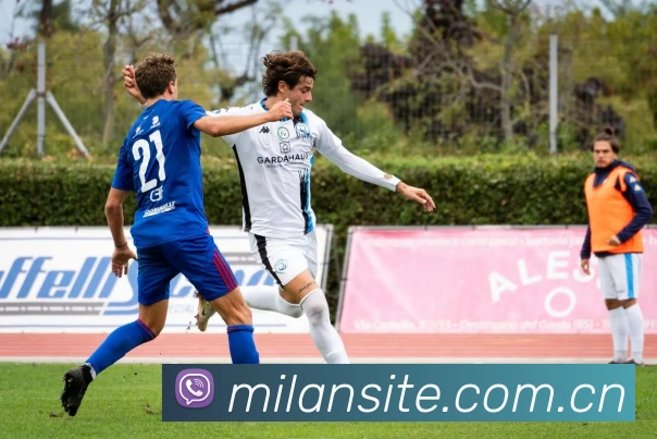 App Interface Preview